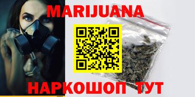 гидра Новодвинск