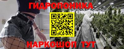 гидра Новодвинск